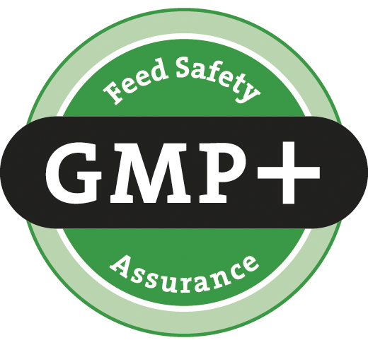2019 GMP Logo
